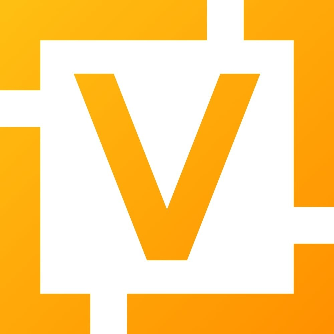 VyOS Logo